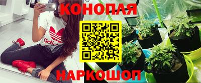стафф Пугачёв