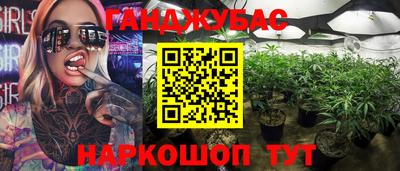 Альфа ПВП Пушкино