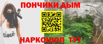 Альфа ПВП Пушкино