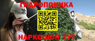 стафф Пугачёв